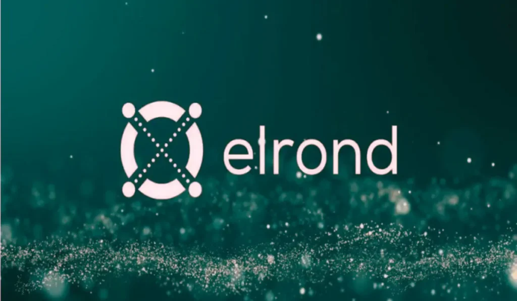 Elrond becomes MultiversX, powering Web3, blockchain, and metaverse innovation.