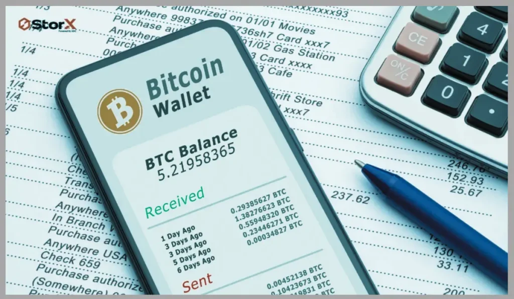 Crypto investor viewing wallet balances and digital asset holdings on a secure wallet platform.